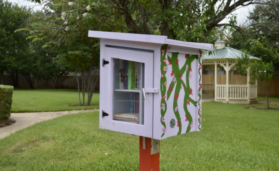 Free books inside a Little Free Library